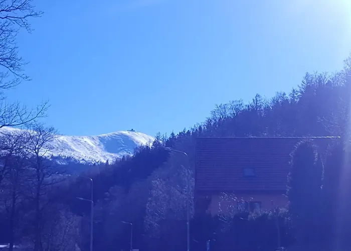 Intol Z Widokiem Na Sniezke 카르파츠